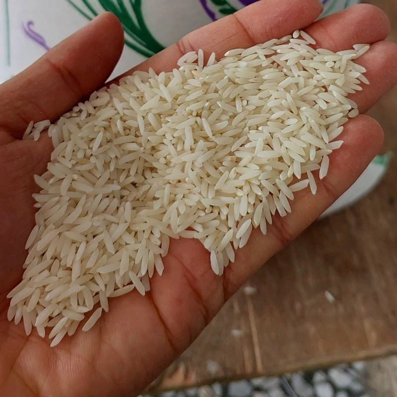 برنج طارم هاشمی فریدونکنار ۱۰ کیلویی